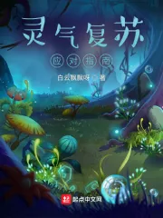 《灵气复苏应对指南》小说封面