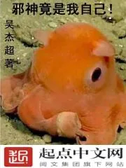 《邪神竟是我自己！》小说封面