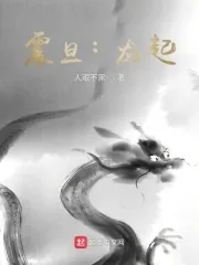 《中古震旦：龙起》小说封面