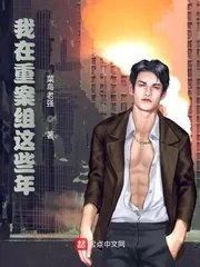 《我在重案组这些年》小说封面