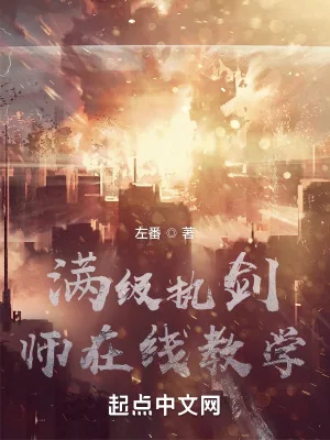 《满级执剑师在线教学》小说封面