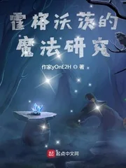 《霍格沃茨的魔法研究》小说封面