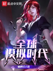 《全球模拟时代》小说封面