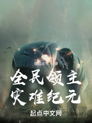 《全民领主：灾难纪元》小说封面