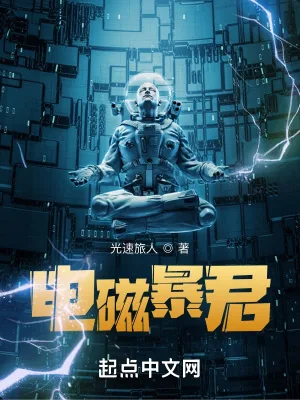 《电磁暴君》小说封面