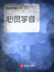 《心灵学者》小说封面