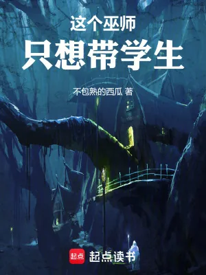 《这个巫师只想带学生》小说封面