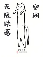 《无限跌落空间》小说封面