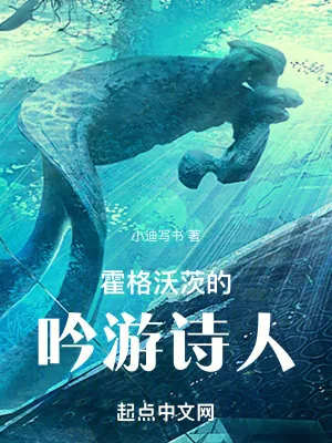 《霍格沃茨的吟游诗人》小说封面