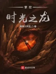 《掌控时光之龙》小说封面