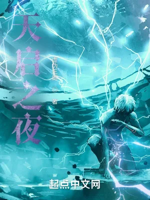 《天启之夜》小说封面