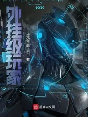 《外挂级玩家》小说封面