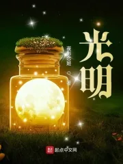 《光明!》小说封面