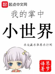 《我的掌中小世界》小说封面