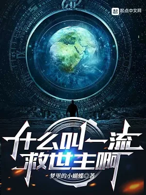 《什么叫一流救世主啊》小说封面