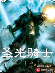 《圣光骑士》小说封面