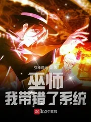 《巫师：我带错了系统》小说封面