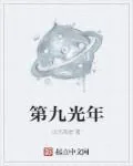 《第九光年》小说封面
