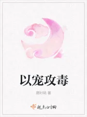 《以宠攻毒》小说封面