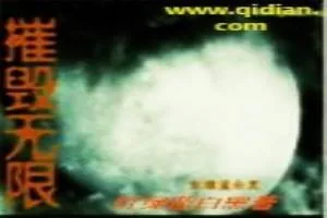 《摧毁无限》小说封面