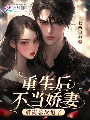 《重生后不当娇妻,被霸总反追了》小说封面