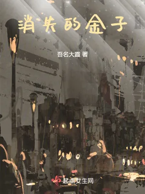 《消失的金子》小说封面