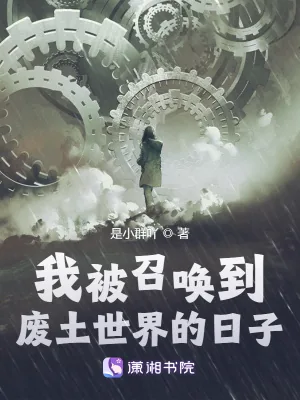 《我被召唤到废土世界的日子》小说封面