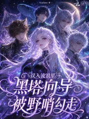 《误入流浪星，黑塔向导被野哨勾走》小说封面