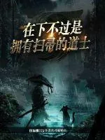 《在下不过是拥有扫帚的道士》小说封面
