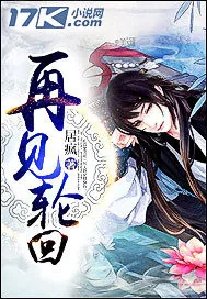 《再见！轮回》小说封面
