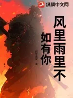 《风里雨里不如有你》小说封面