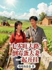 《七零旺夫路：倒霉蛋夫妻一起开挂》小说封面