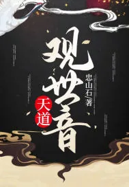 《天道观世音》小说封面