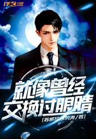 《就像曾经交换过眼睛》小说封面