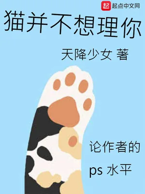 《猫并不想理你》小说封面