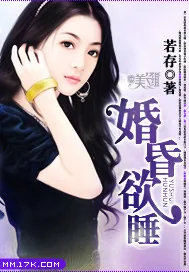《婚昏欲睡》小说封面