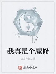 《我真是个魔修》小说封面