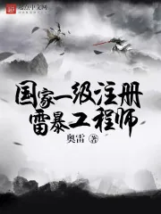 《国家一级注册雷暴工程师》小说封面
