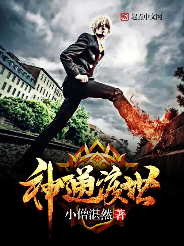 《神通渡世》小说封面