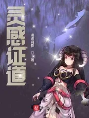 《灵感证道》小说封面