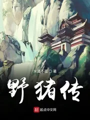 《野猪传》小说封面