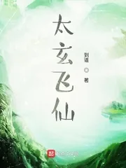《太玄飞仙》小说封面