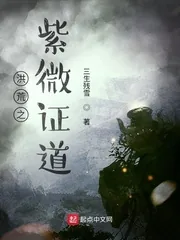 《洪荒之紫微证道》小说封面