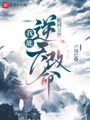 《轮回模拟：我能逆天改命》小说封面
