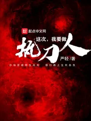 《这次我要做执刀人》小说封面