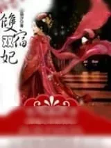 《穿越之双宿双妃》小说封面