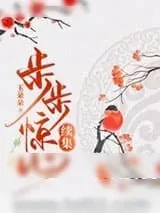 《步步惊心续集》小说封面
