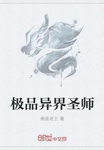 《极品异界圣师》小说封面