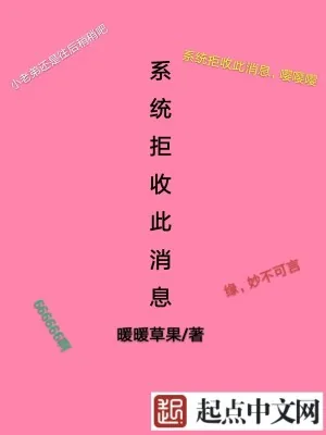 《系统拒收此消息》小说封面
