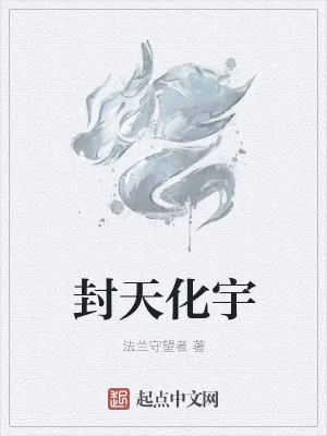 《封天化宇》小说封面